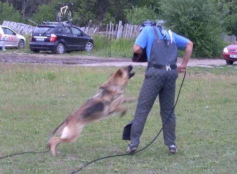 Training in Estonia 6/2007